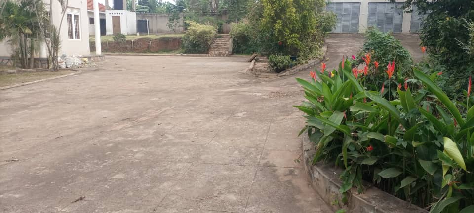 WhatsApp Image 2021-08-15 at 5.30.23 PM.jpeg